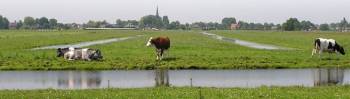 snelwegpanorama-site