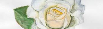 aquarel mondschilder Jean-Christophe Saint-Pô