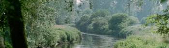 de dommel