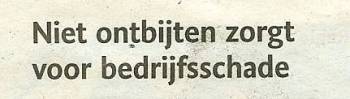 bn/destem, 20 januari 2008