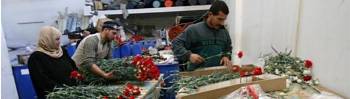 anjers uit gaza, foto volkskrant