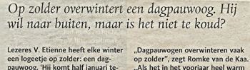 bn/destem, 13 februari
