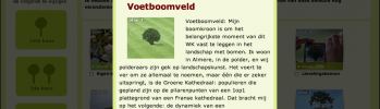 voetbal